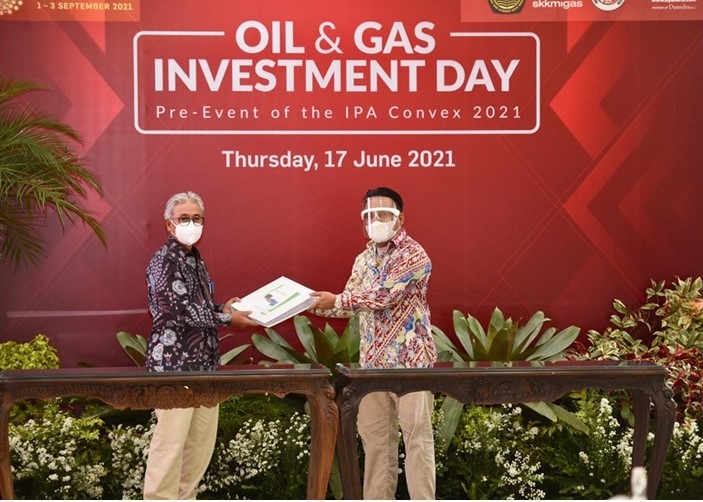 Газпром 1993. Gas invest. Gas invest. Инвест аг. Gas invest.